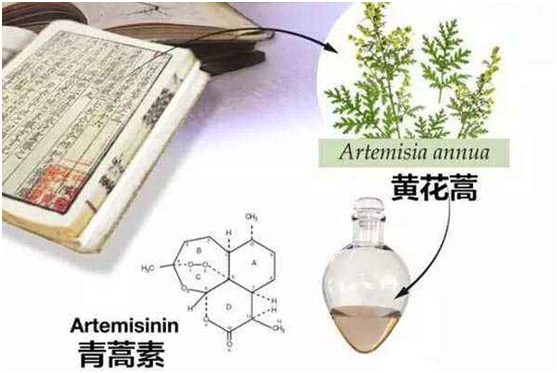 江南平台客服,江南（中国）：向中医药看齐，与世界共享中医药文化(图1)